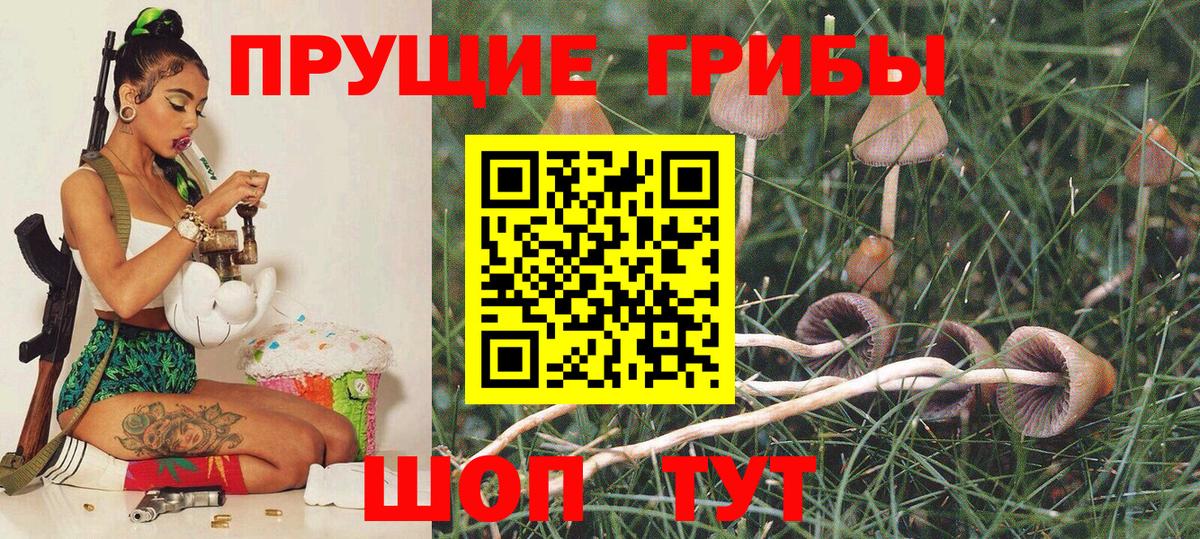 Белая Калитва  Галлюциногенные грибы GOLDEN TEACHER  Вход с VPN 