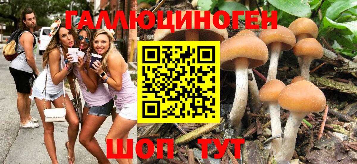 Галлюциногенные грибы мухоморы Белая Калитва